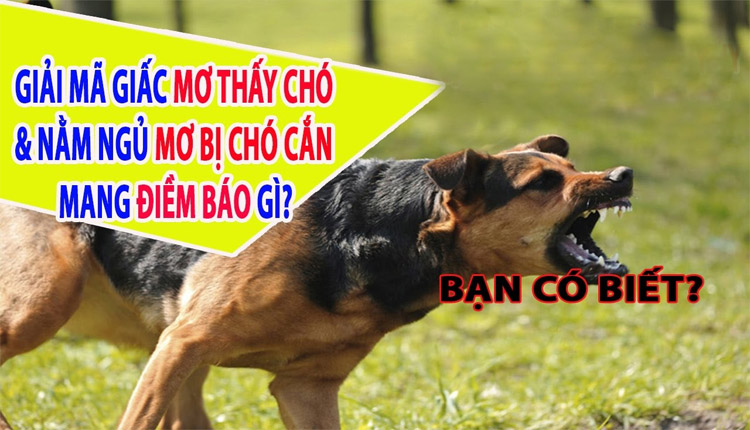 mơ chó cắn đánh con gì